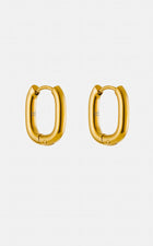 Chunky Oval Hoops